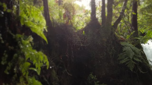 Beautiful waterfall and scenery in New Zealand