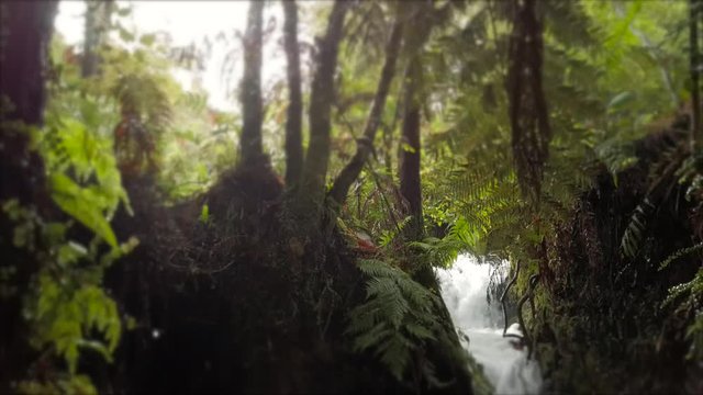 Beautiful waterfall and scenery in New Zealand