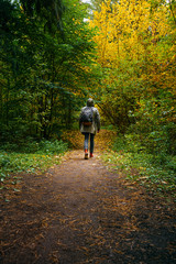 A man with backpack walks in the amazing autumn forest. Hiking alone along autumn forest paths. Travel concept.