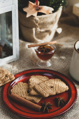 speculoos Christmas cookies on a red plate with star anise, honey and cinnamon, the effect of the film and tinting, soft focus and bokeh