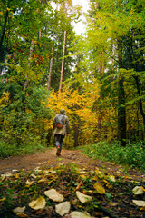 Fototapeta premium A man with backpack walks in the amazing autumn forest. Hiking alone along autumn forest paths. Travel concept.