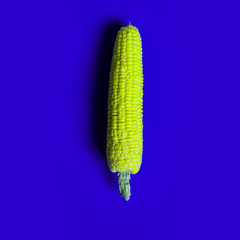 Creative corn vibrant colors on background.Topview. Flat lay. Food concept. Macro concept.