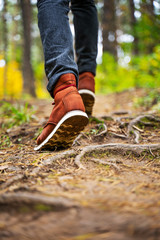 A man in red leather boots walks in the amazing autumn forest. Footwear close up with copy spase. Travel concept.