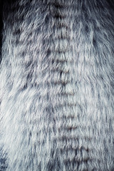 natural blue soft fur tecture with reflections over surface closeup