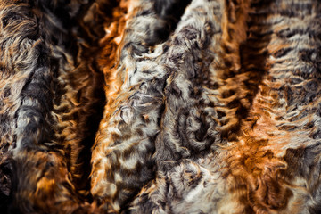abstract multicolor fur texture with reflecttion over wool surface