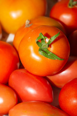 Tomato background. organic vegetables. healthy food. vegetarian nutrition