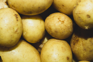 Fresh young potatoes. vegetables. healthy nutrition. vegetarian food