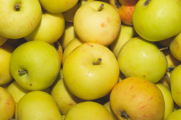 Many apples background. fresh fruits. healthy food. vegetarian nutrition