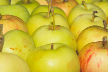 Many apples background. fresh fruits. healthy food. vegetarian nutrition