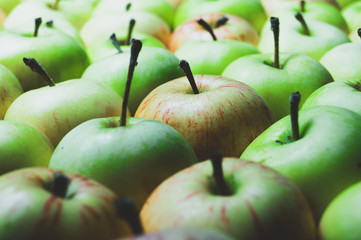 Many apples background. fresh fruits. healthy food. vegetarian nutrition