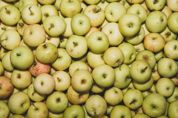 Many apples background. fresh fruits. healthy food. vegetarian nutrition