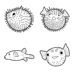 Blowfish Animal Vector Illustration Hand Drawn Cartoon Art
