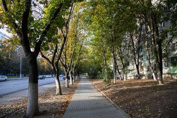 Fototapeta premium Street of a city.