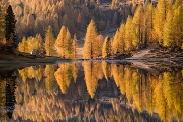 Autumn in dolomiti