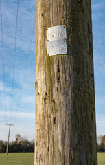 Metal inspection plate seen on a power utility pole in a rural location. The background shows a connected but leaning pole with power cables.