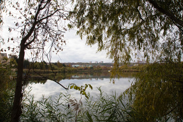 Fototapeta premium Autumn urban landscape.