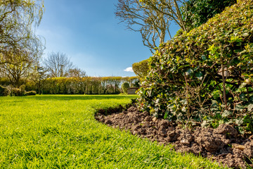 Low level view of a well marinated large garden, taking in HDR format. The lawn has recently been cut and the thick much trash is evident to the distance, out of focus hedge.