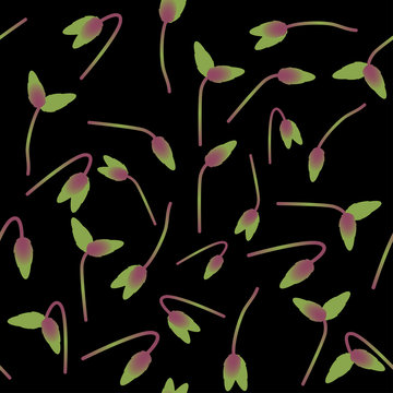 Microgreens Magenta Spreen. Sprouting seeds of a plant. Seamless pattern. Vitamin supplement, vegan food.
