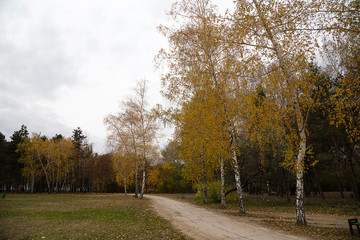 Autumn at a public garden.