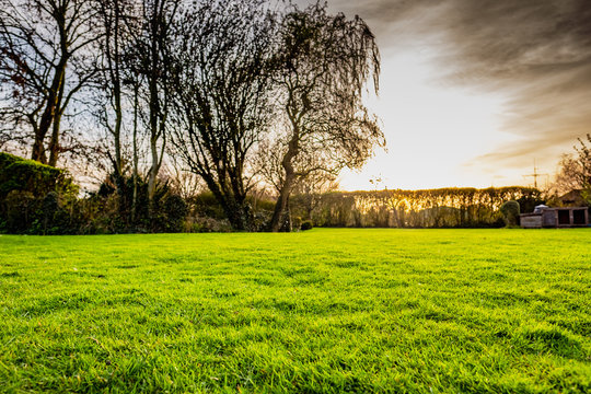 Low level, HDR image of a large and well maintain garden showing the lush lawn. The background shows the late spring sun setting behind hedgerow.