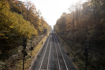 Obraz premium Zug auf Bahnschienen im Herbstwald
