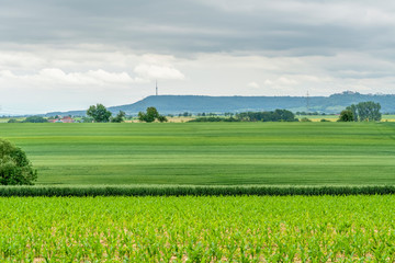 rural scenery in Hohenlohe