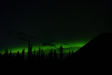 Fototapeta na wymiar Dark Night at Denali National Park and Preserve