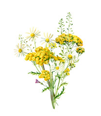 Bouquet of wild flowers tansy and daisies