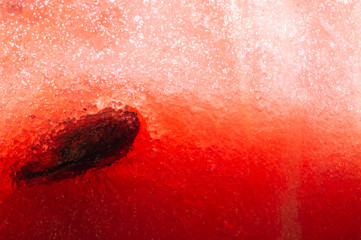 Watermelon macro texture. fresh juicy fruit background - Powered by Adobe