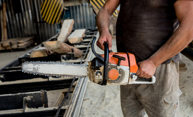 Woodcutter cutting tree with chainsaw on sawmill. Modern sawmill. Industry sawing boards from logs.