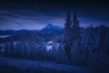 Frozen winter night in a highlands