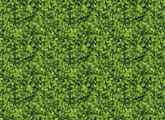 Seamless fotorealistic grass pattern - nahtloses Muster - rapport - hecke - textur