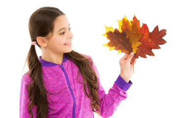 Exploring the nature. small girl maple leaves. little child feel unity with nature. collect autumn...
