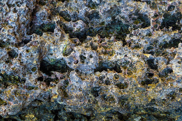Pattern of Corals fragment on the beach . Abstract texture background.