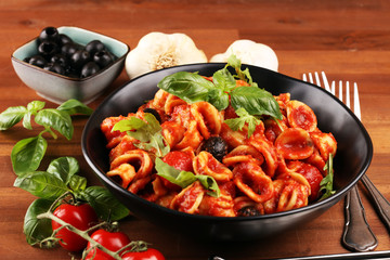 Pasta orecchiette. Plate of delicious orecchiette with tomato sauce garnished with parmesan cheese and basil on rustic background