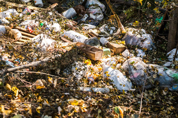 household waste dumped in forest