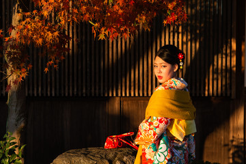 Fototapeta premium An Asian woman in traditional Japanese dress or Kimono during autumn season in Kyoto