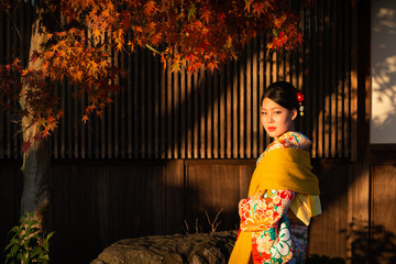 An Asian woman in traditional Japanese dress  or Kimono during autumn season in Kyoto