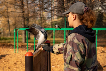 Fototapeta premium Cynologist on the dog Playground trains a crow.