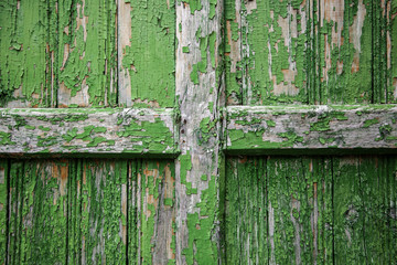 Green painted wooden wall