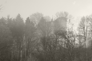 Schloss im Nebel schwarz / weiß