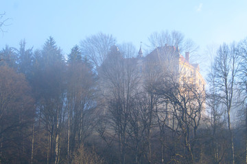 Schloss im Nebel