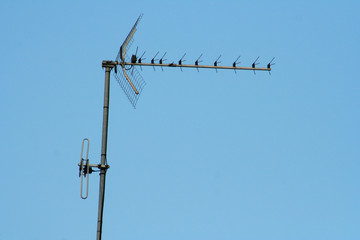 antenne de t&eacute;l&eacute;vision