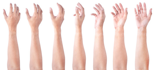 GROUP of Male asian hand gestures isolated over the white background. Soft Grab Action.