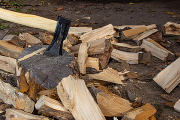 Ax cleaver with chopped wood.
