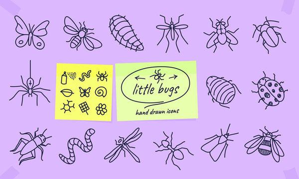 Bugs insects icon set vector thin line drawings . Illustration with spider, ant, butterfly, mosquito, fly, worm, cocoon, dragonfly, wasp, bee. pictogram. Editable stroke