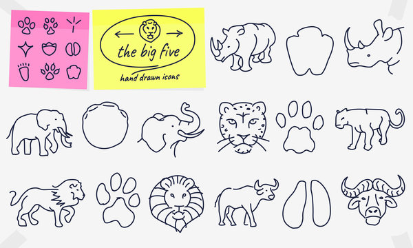 Africa big five wildlife animals and footprint hand drawn icons. Full vector illustrations with editable strokes.