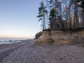 early winter morning, sandstone cliffs, trees and seashore