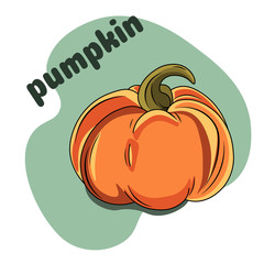 Cartoon pumpkin. Different on white background with the words 