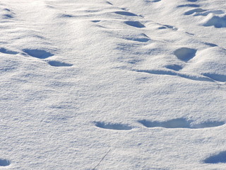 Fototapeta na wymiar footprints in the snow